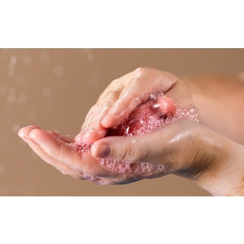 Dầu gội rắn Lush New