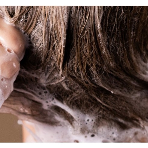 Dầu gội rắn Lush New