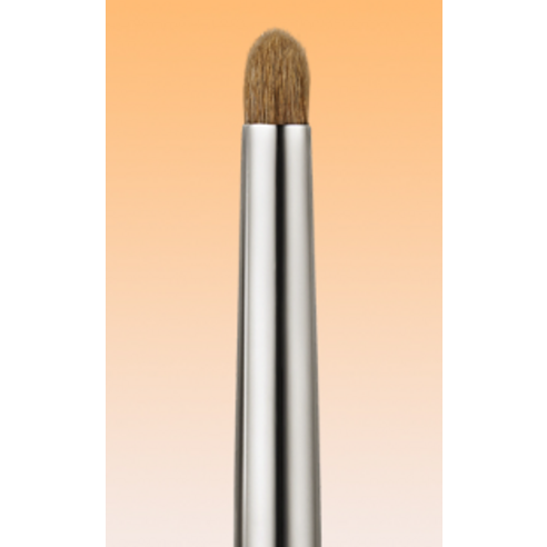 Phấn mắt Picasso 777