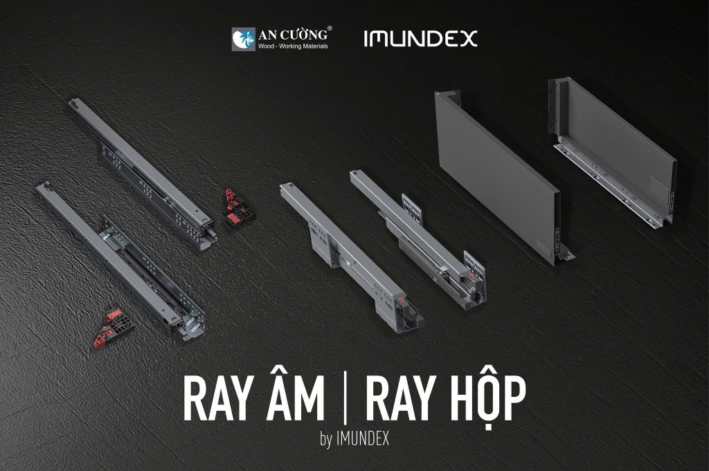 Ray âm giảm chấn toản phần Imundex