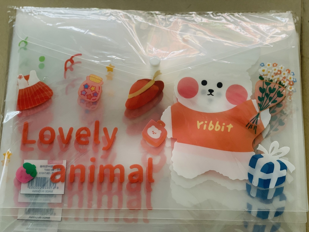 Bìa Sơ Mi Nút A4 Ngang Nhiều Hình (Giao Ngẫu Nhiên) (12 Cái/Xấp; 1200 cái/ Thùng)