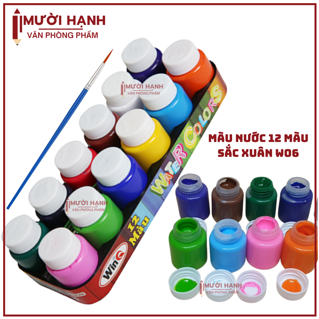 Win Q Màu Nước Sắc Xuân 12 Màu W06 (50 Vĩ/ Thùng)