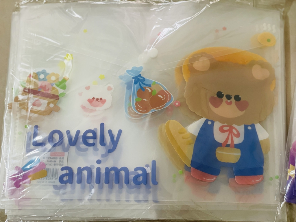 Bìa Sơ Mi Nút A4 Ngang Nhiều Hình (Giao Ngẫu Nhiên) (12 Cái/Xấp; 1200 cái/ Thùng)