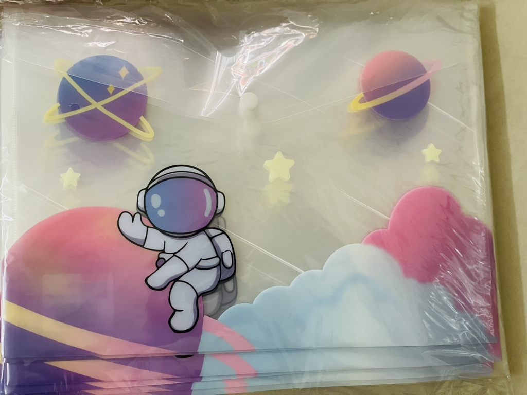 Bìa Sơ Mi Nút A4 Ngang Nhiều Hình (Giao Ngẫu Nhiên) (12 Cái/Xấp; 1200 cái/ Thùng)