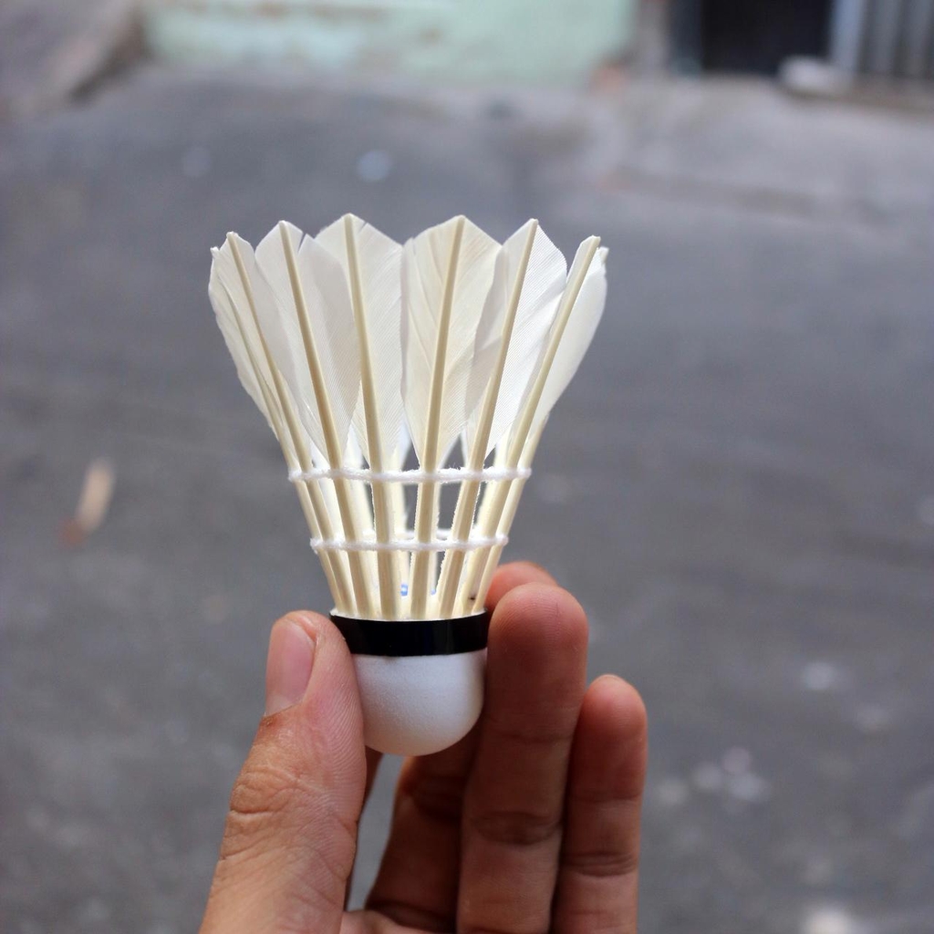 Ống Cầu Lông Đế Vải Galaxy Pro OGP12 (12 Quả/Ống; 50 Ống/ Thùng)