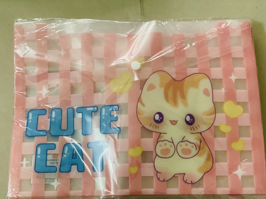 Bìa Sơ Mi Nút A4 Ngang Nhiều Hình (Giao Ngẫu Nhiên) (12 Cái/Xấp; 1200 cái/ Thùng)