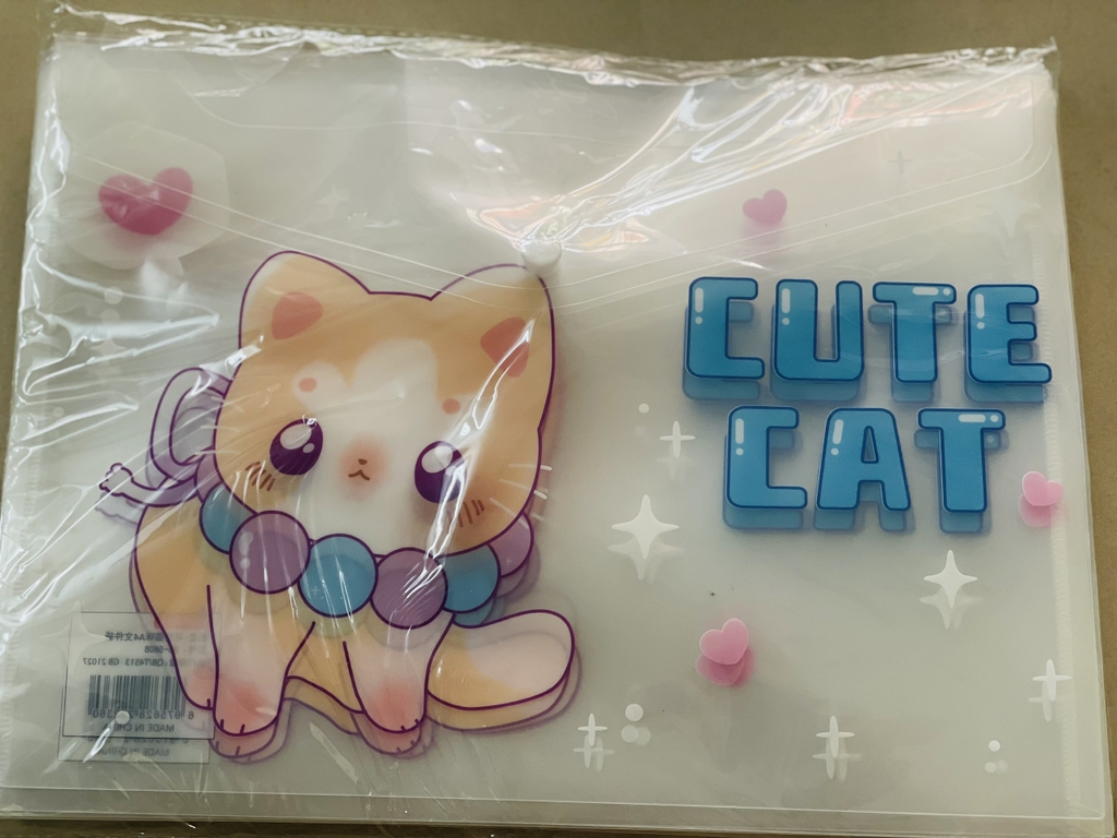 Bìa Sơ Mi Nút A4 Ngang Nhiều Hình (Giao Ngẫu Nhiên) (12 Cái/Xấp; 1200 cái/ Thùng)