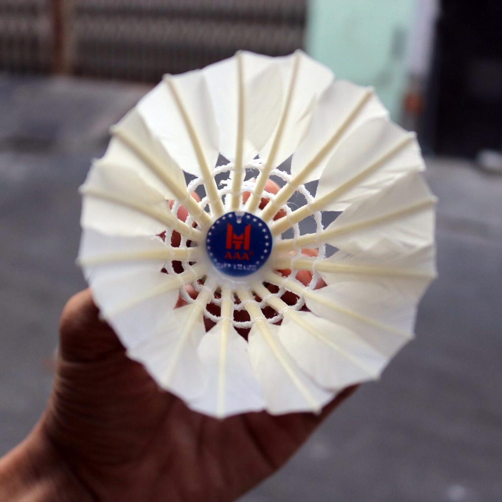 Ống Cầu Lông Đế Vải Galaxy Pro OGP12 (12 Quả/Ống; 50 Ống/ Thùng)