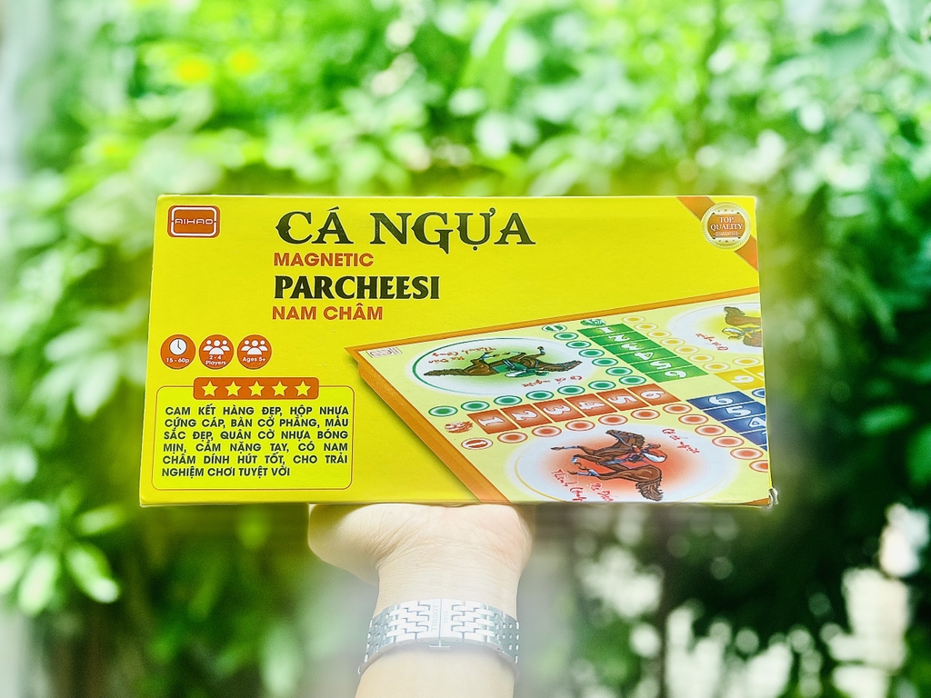 . Bàn Cờ Cá Ngựa Aihao NAM CHÂM 28 x 28CM (Có Hộp Giấy Bên Ngoài) (60 Hộp/Thùng) No.001