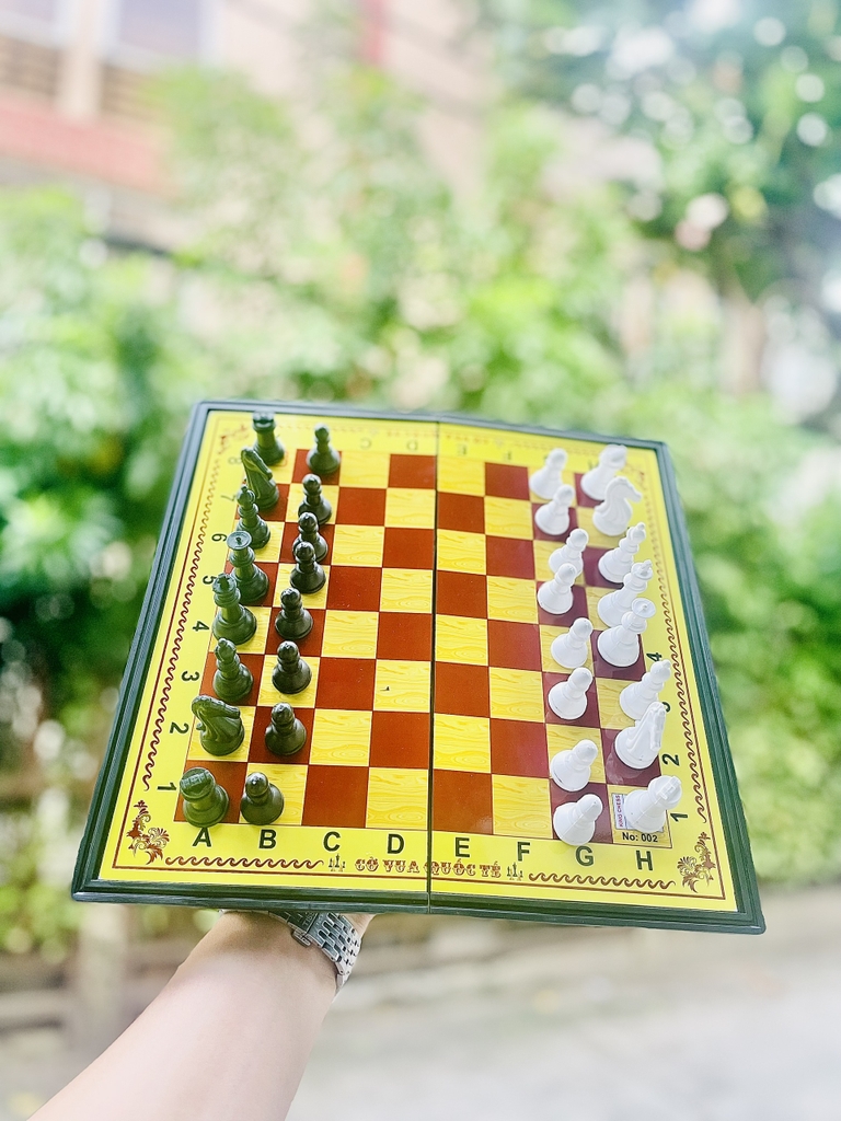 Bàn CỜ VUA AIHAO HỘP NHỰA NAM CHÂM (Có Hộp Giấy Bên Ngoài) 28 x 28 cm (60 Hộp/Thùng) No.002