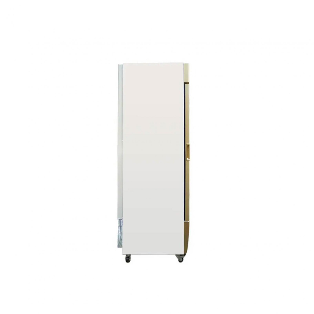 Tủ đông đứng Alaska IF-350G 350 lít