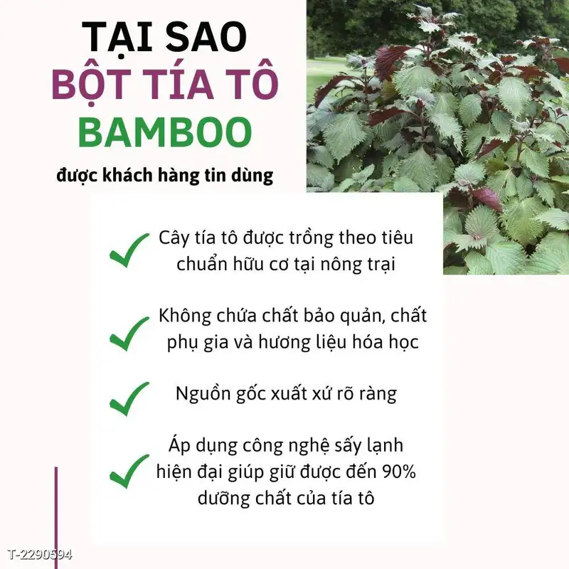Bột Tía Tô Sấy Lạnh Hữu Cơ Nguyên Chất