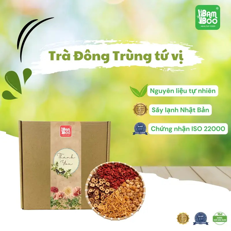 Trà đông trùng hạ thảo tứ vị bồi bổ sức khỏe