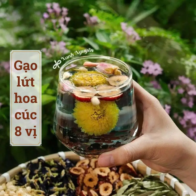 Trà gạo lứt đậu đen hoa cúc 8 vị đẹp da