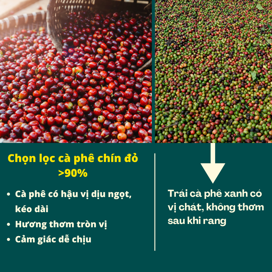 Cafe Hạt Arabica Cầu Đất Nguyên Chất (Rang Đậm)