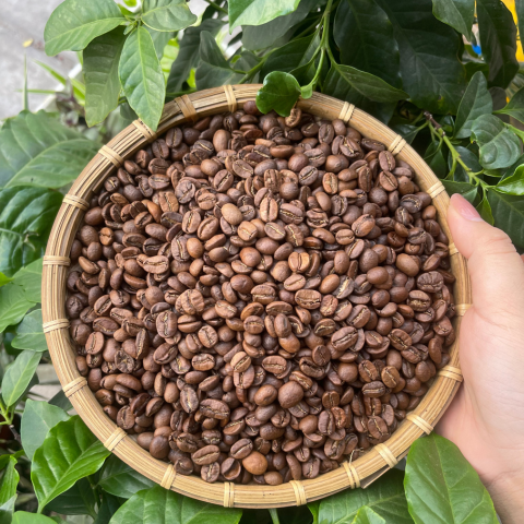 Cafe Hạt Arabica Cầu Đất Nguyên Chất (Rang Đậm)