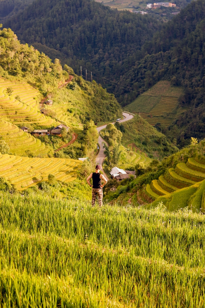 Ruộng bậc thang Yên Bái