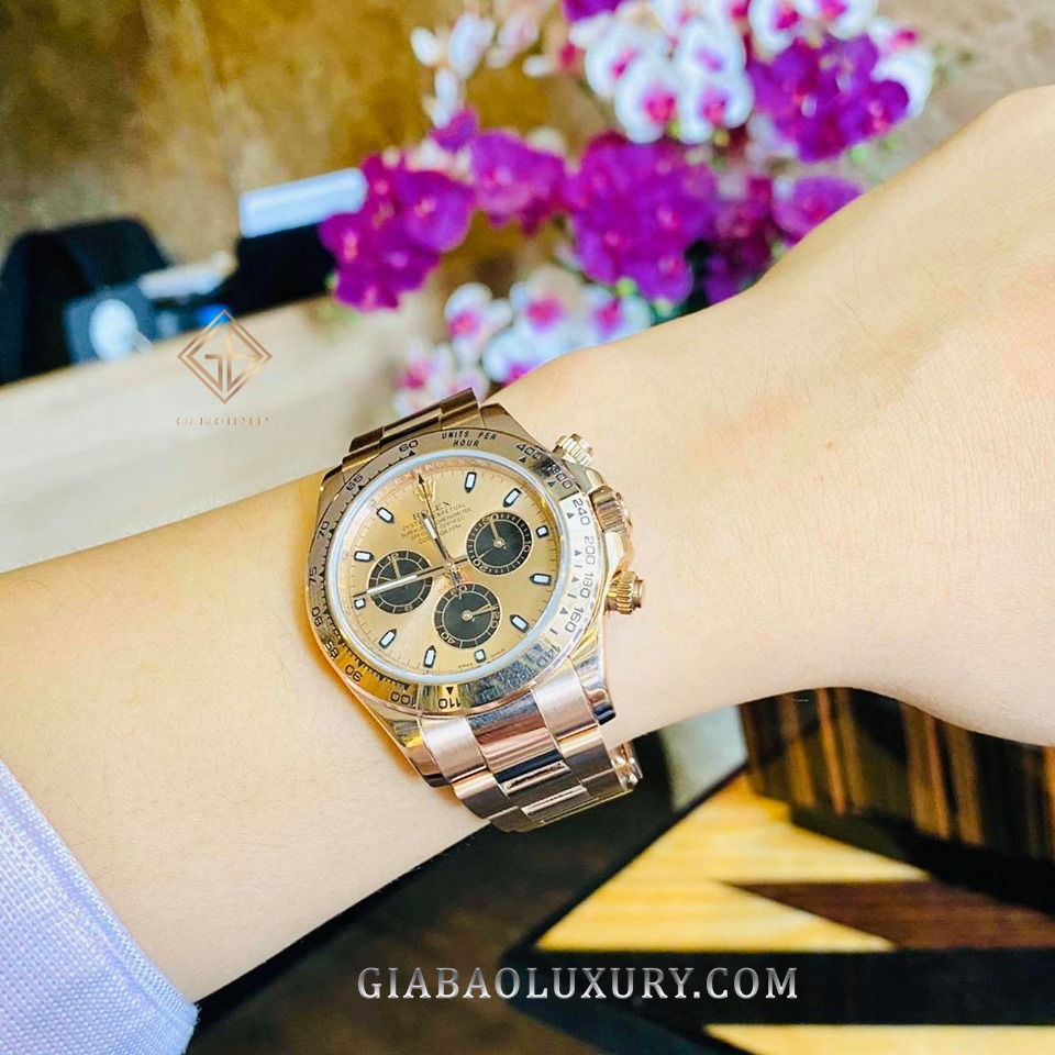 Đồng Hồ Rolex Cosmograph Daytona 116505 Mặt Số Hồng Đen