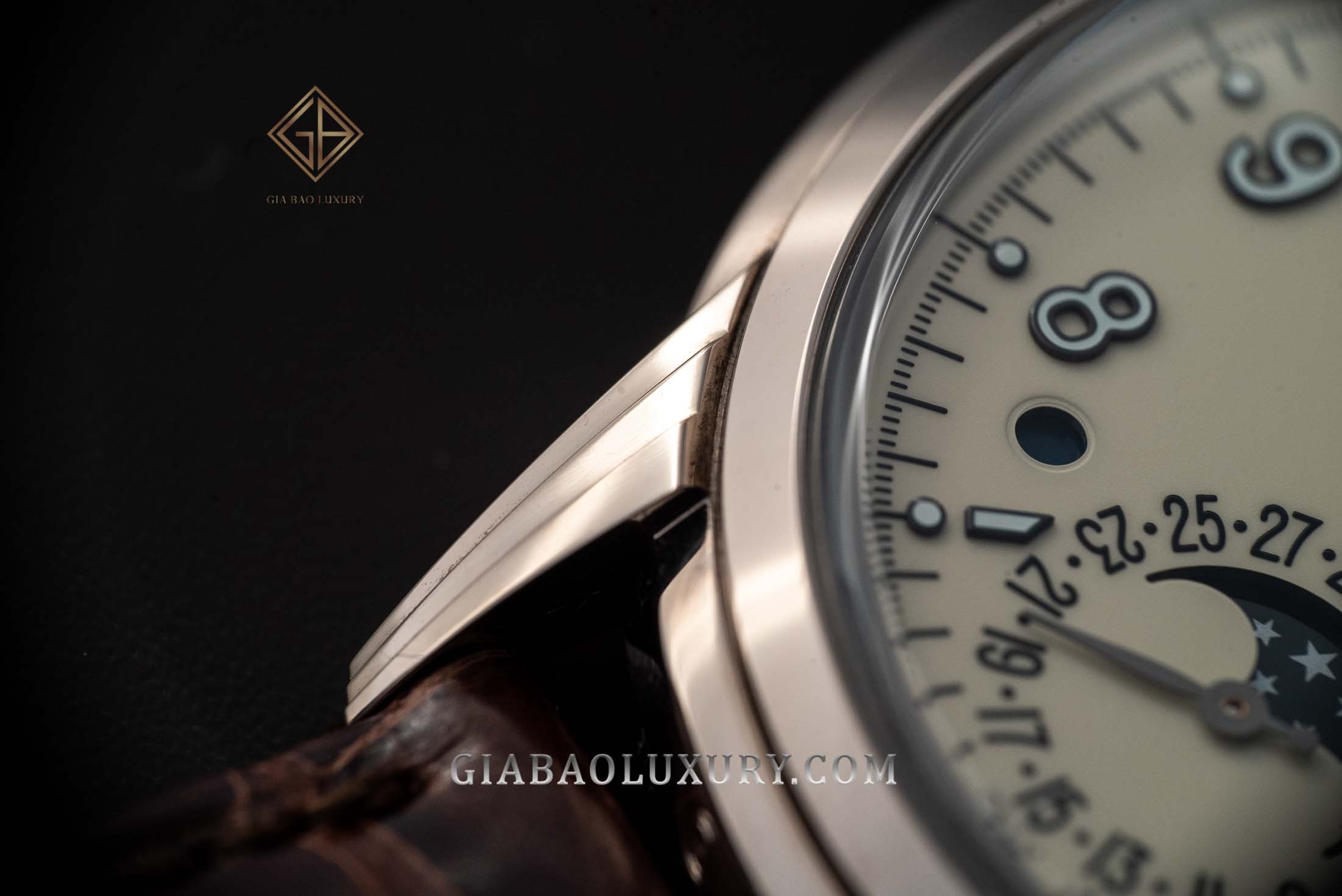 Đồng Hồ Patek Philippe Grand Complications 5320G-001