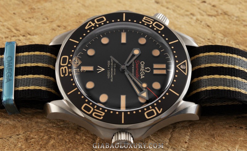 Đồng Hồ Omega Seamaster DIVER 300M 210.92.42.20.01.001