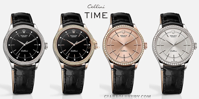 Đồng Hồ Rolex Cellini Time 50609RBR Mặt Số Bạc