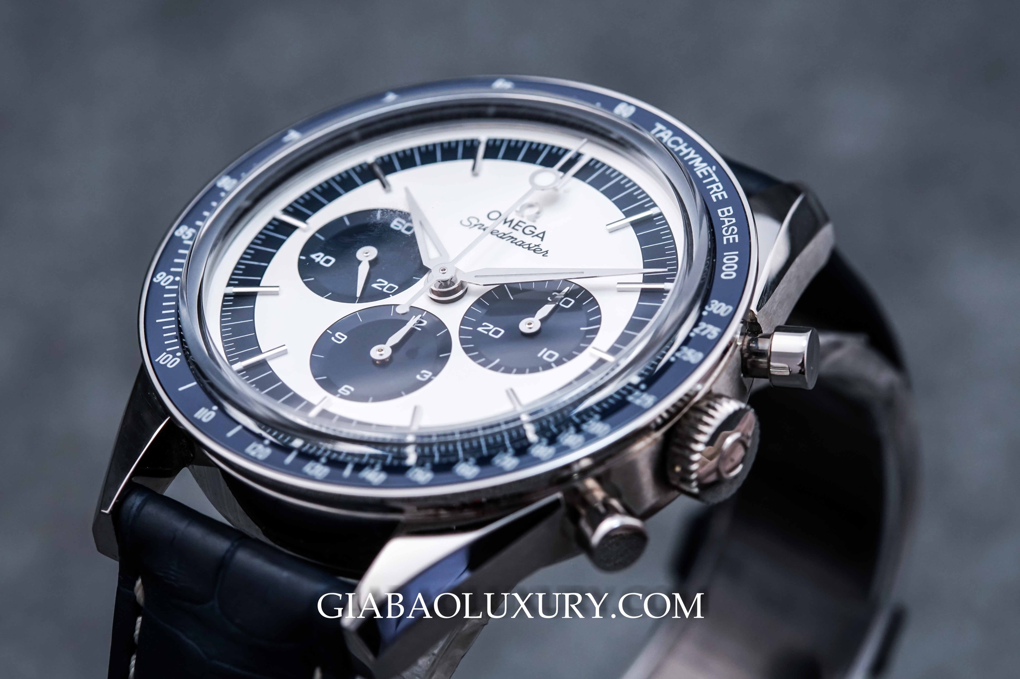 Đồng Hồ Speedmaster CK2998 Limited Edition