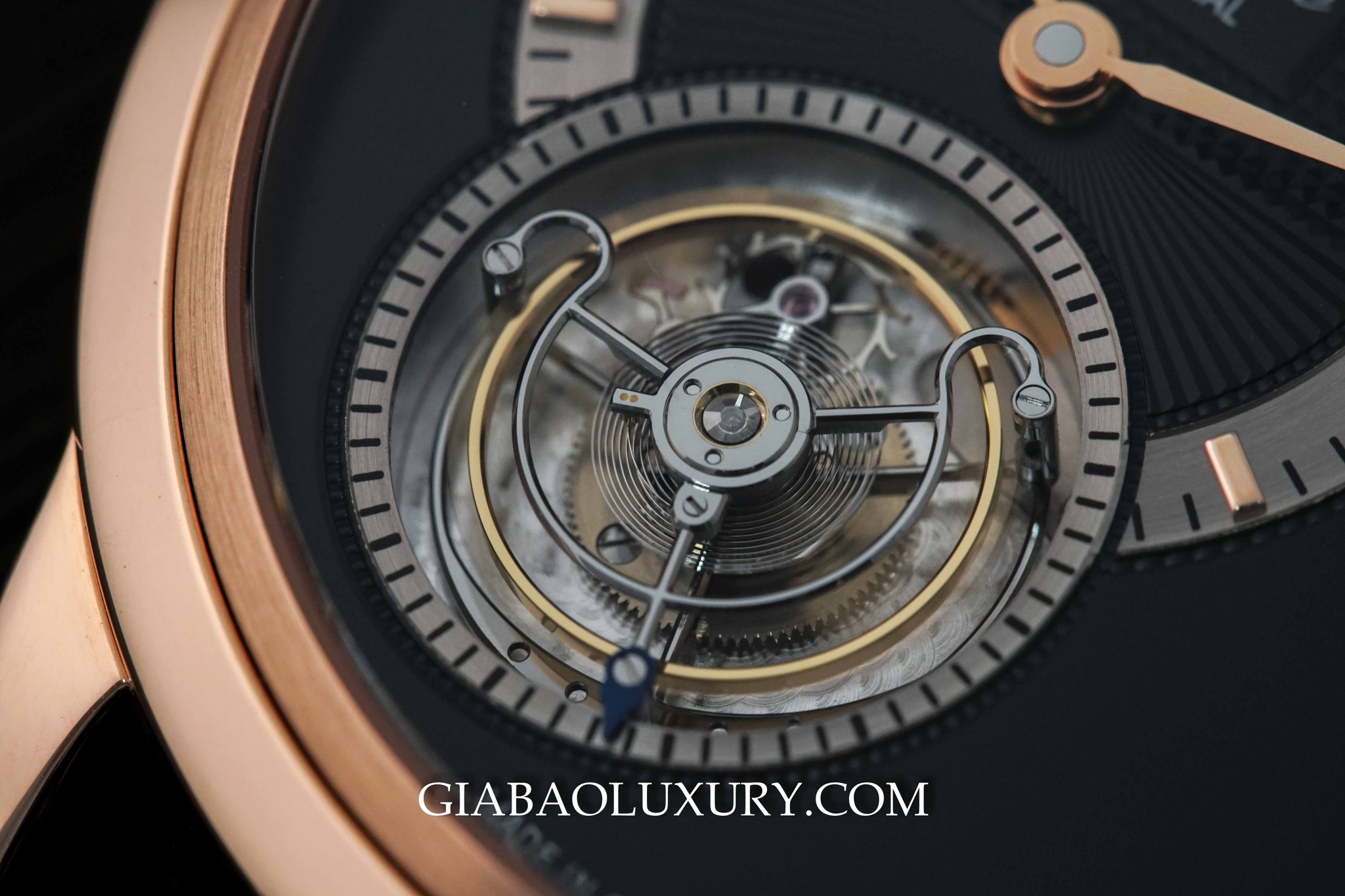đồng hồ Glashutte Original PanoMatic Tourbillon
