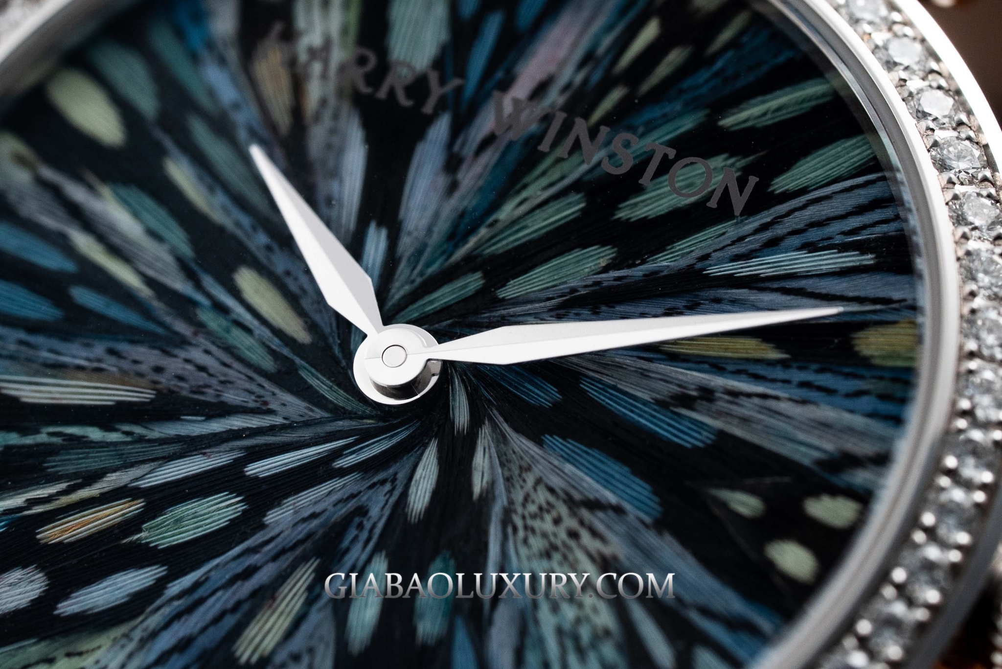 Harry Winston Premier Feathers Ladies Quartz 36mm