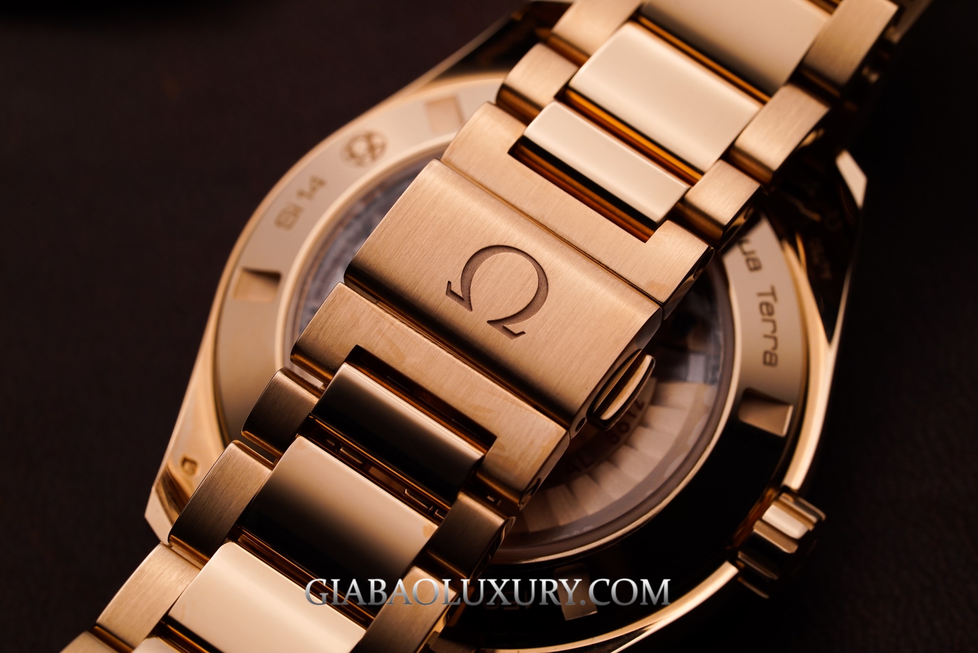 Đồng hồ Omega Seamaster Aqua Terra Co-Axial Day-Date 41.5mm 231.50.42.22.06.001