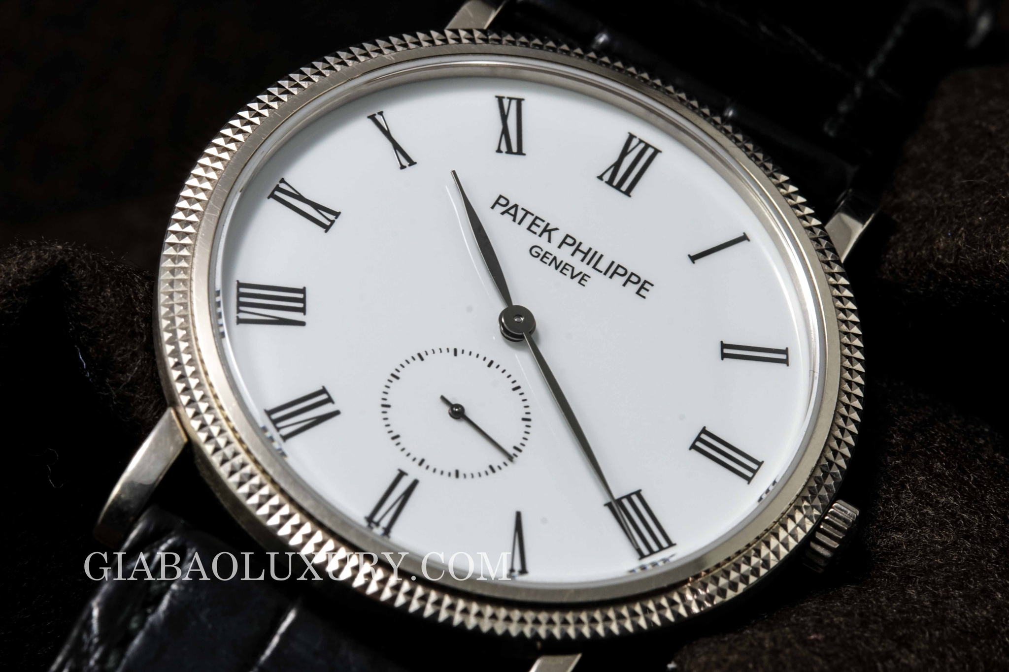 đồng hồ patek philippe calatrava