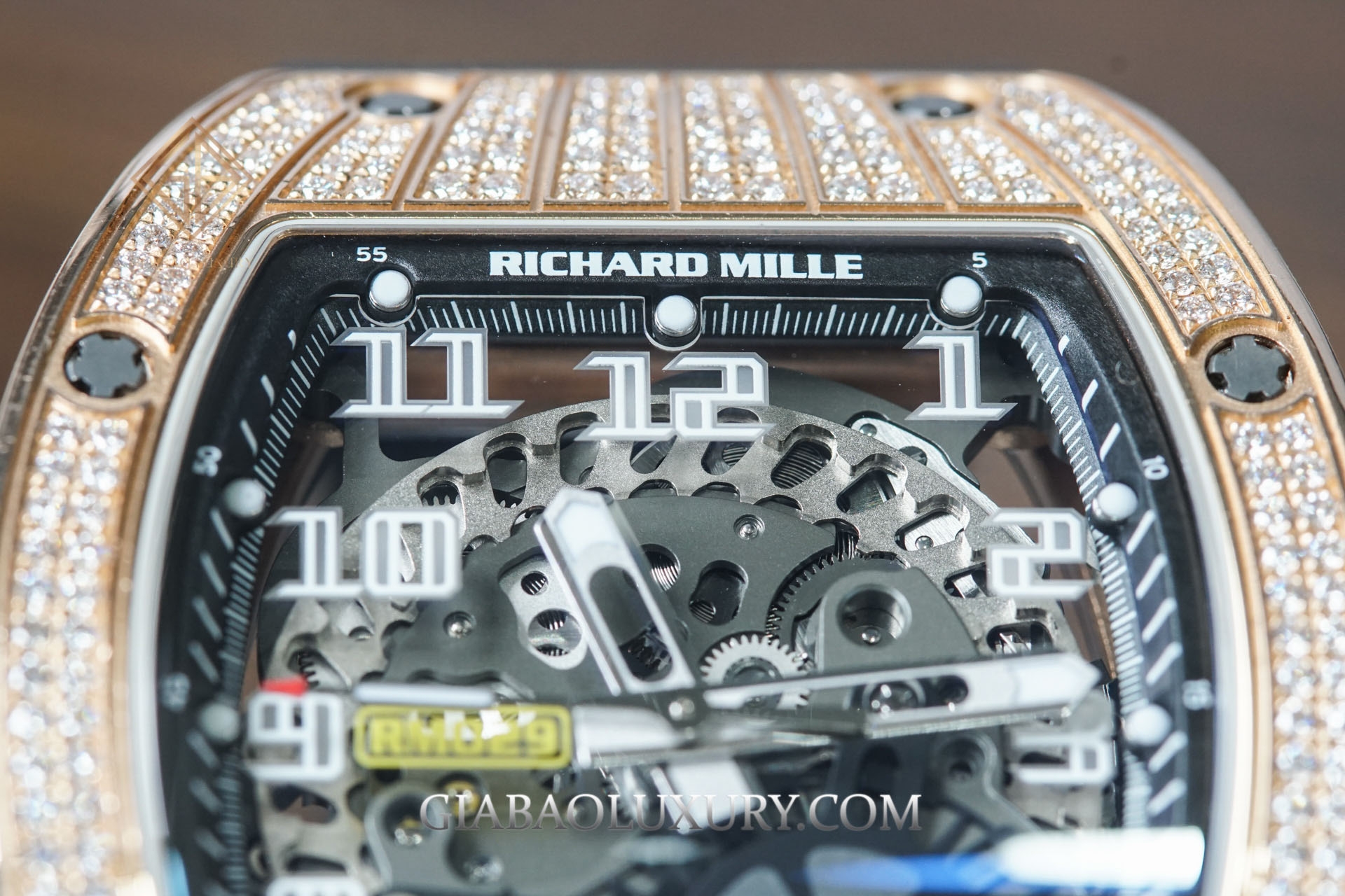 Đồng hồ Richard Mille RM 029 RG – D