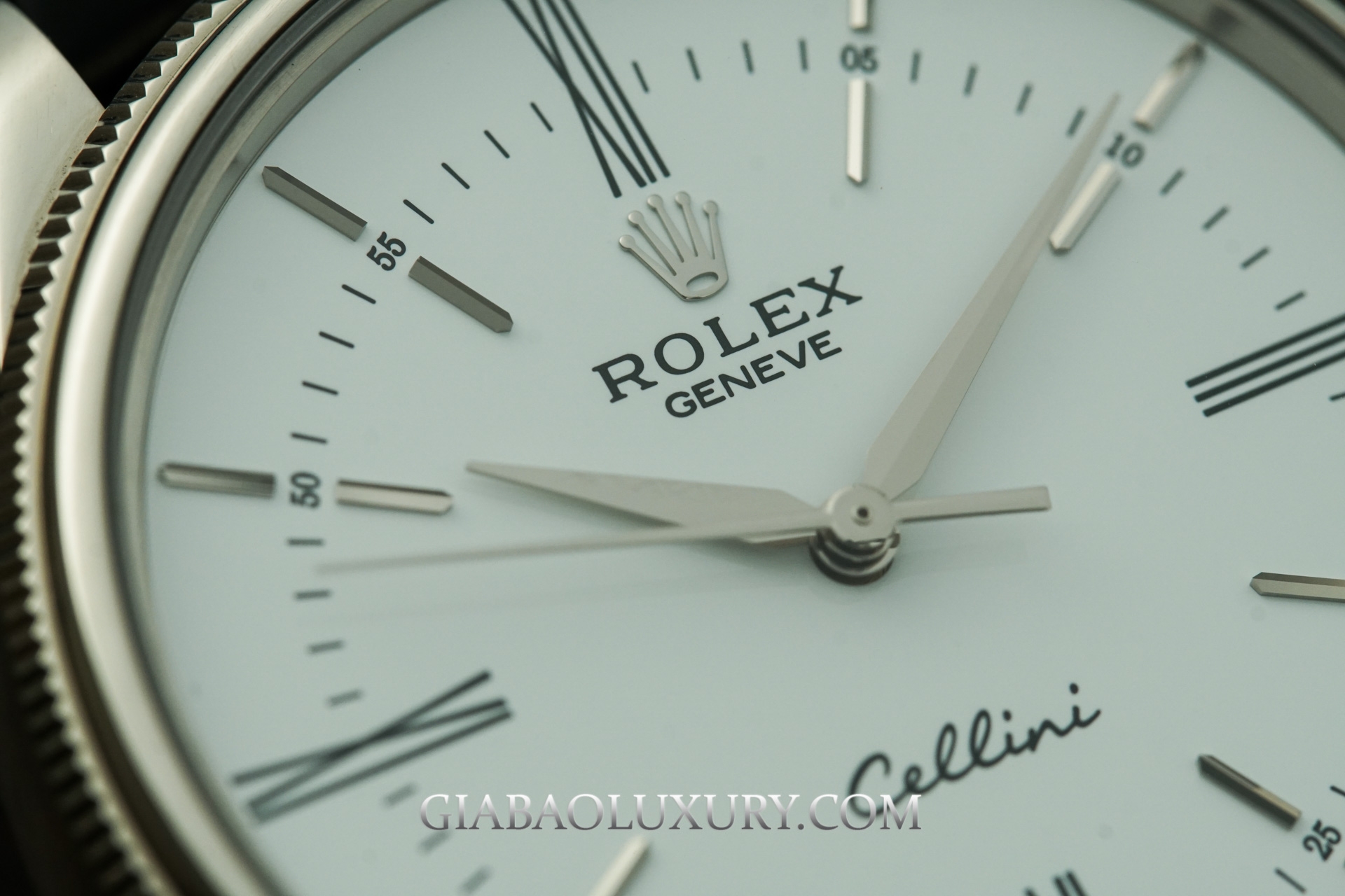 Đồng Hồ Rolex Cellini Time 50509 Mặt Số Trắng