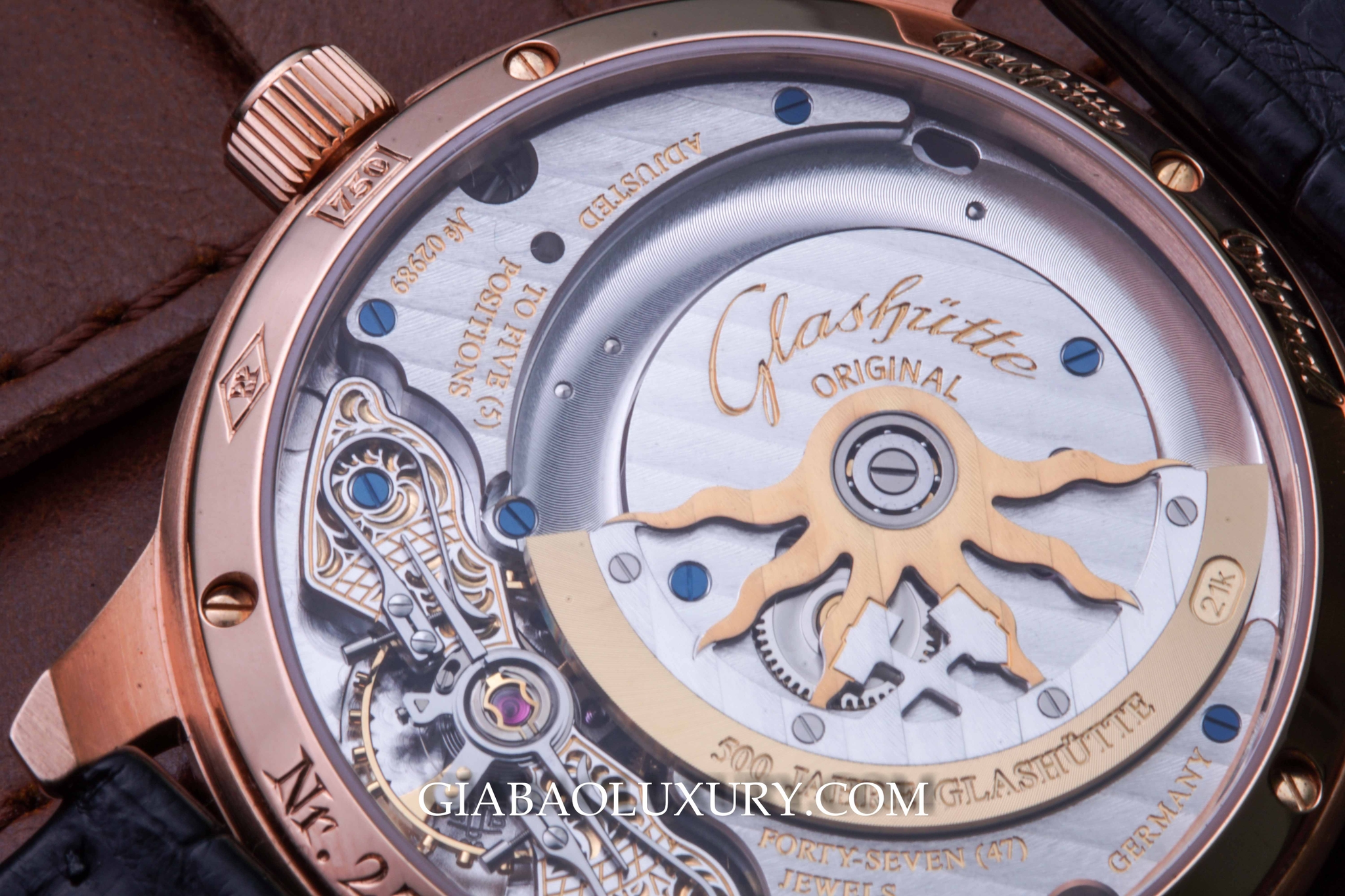 Đồng Hồ Glashutte Original PanoMaticVenue