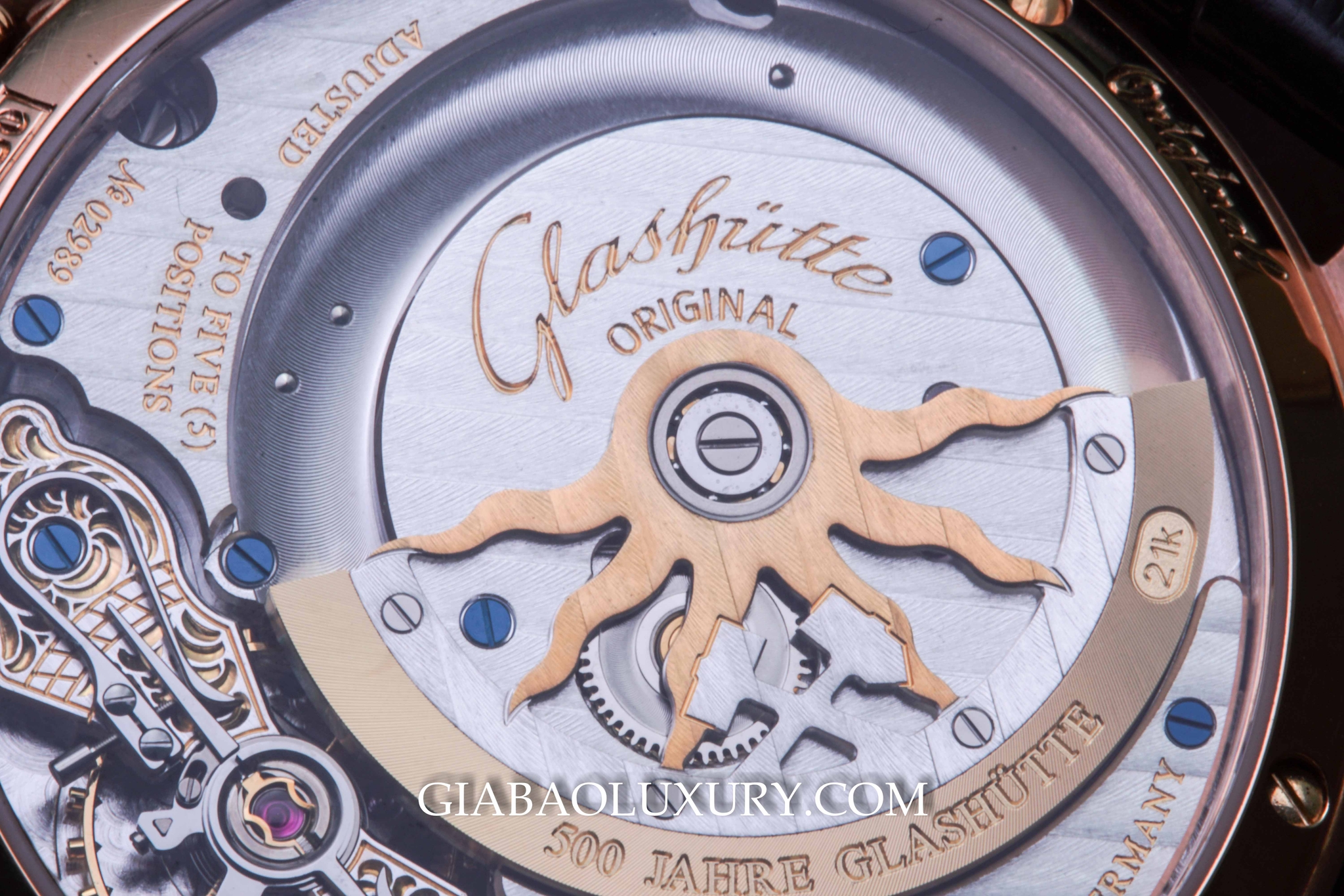 Đồng Hồ Glashutte Original PanoMaticVenue