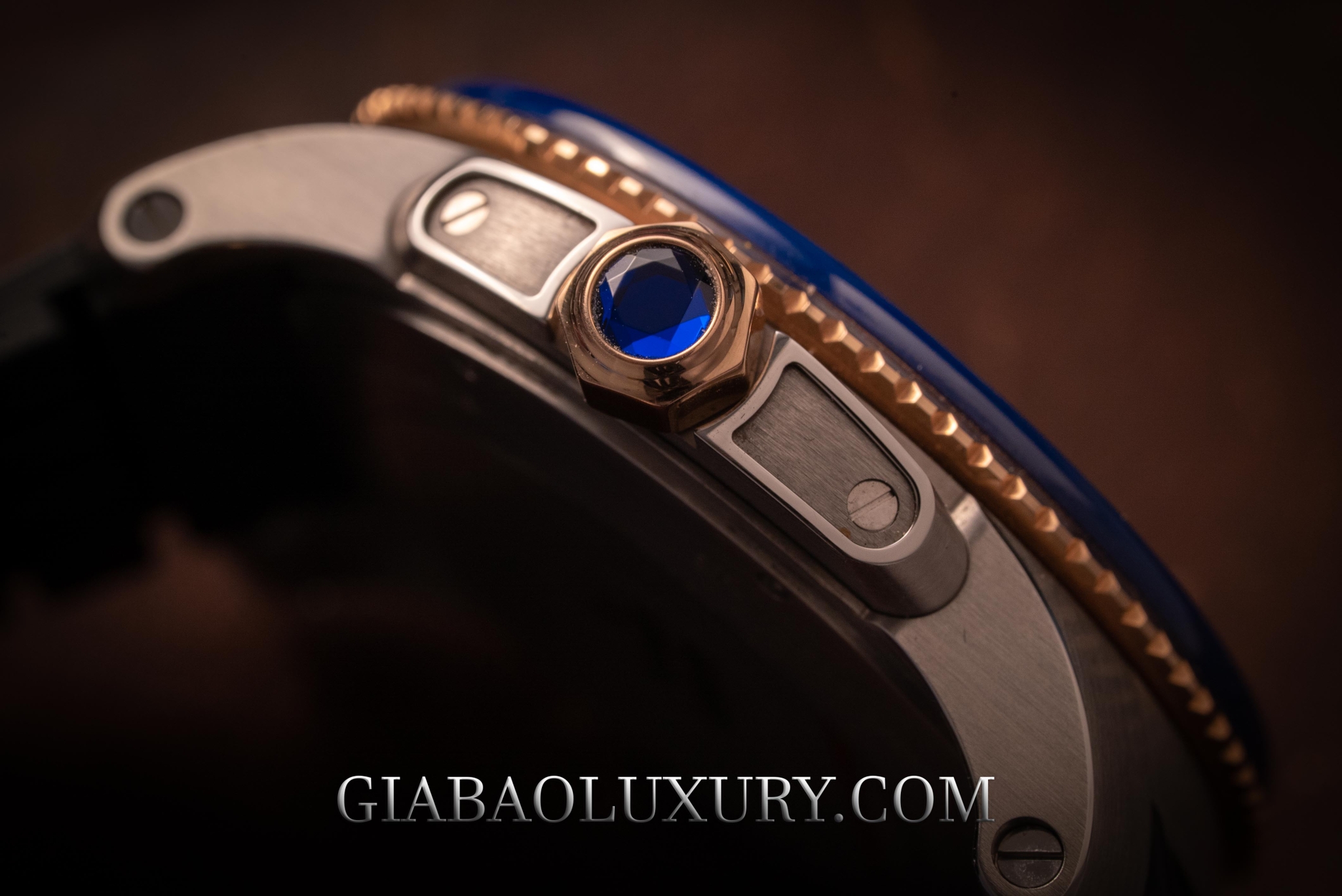 Review Đồng Hồ Cartier Calibre De Cartier Diver 42mm W2CA-0008