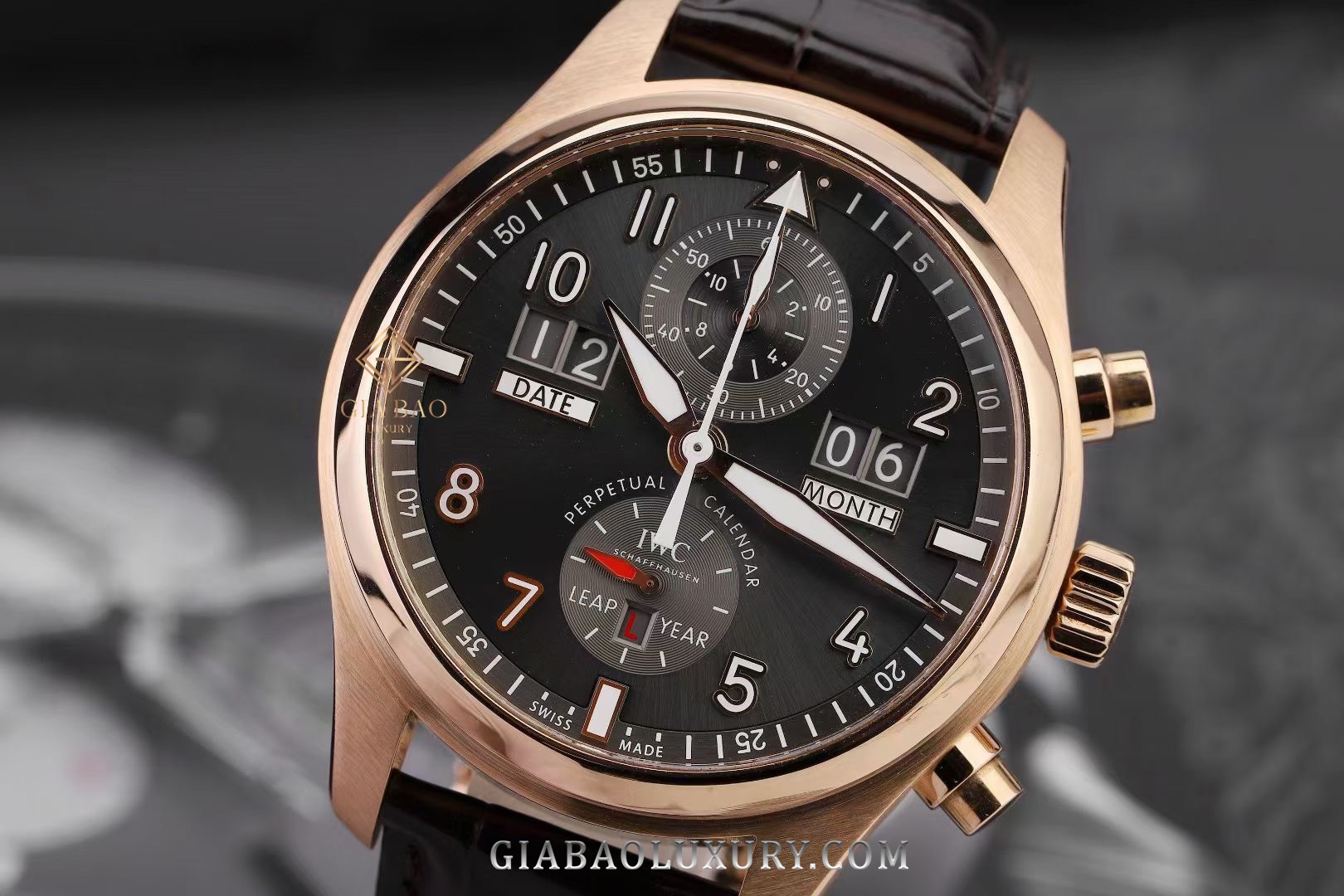 Đồng Hồ IWC Pilots IW379103