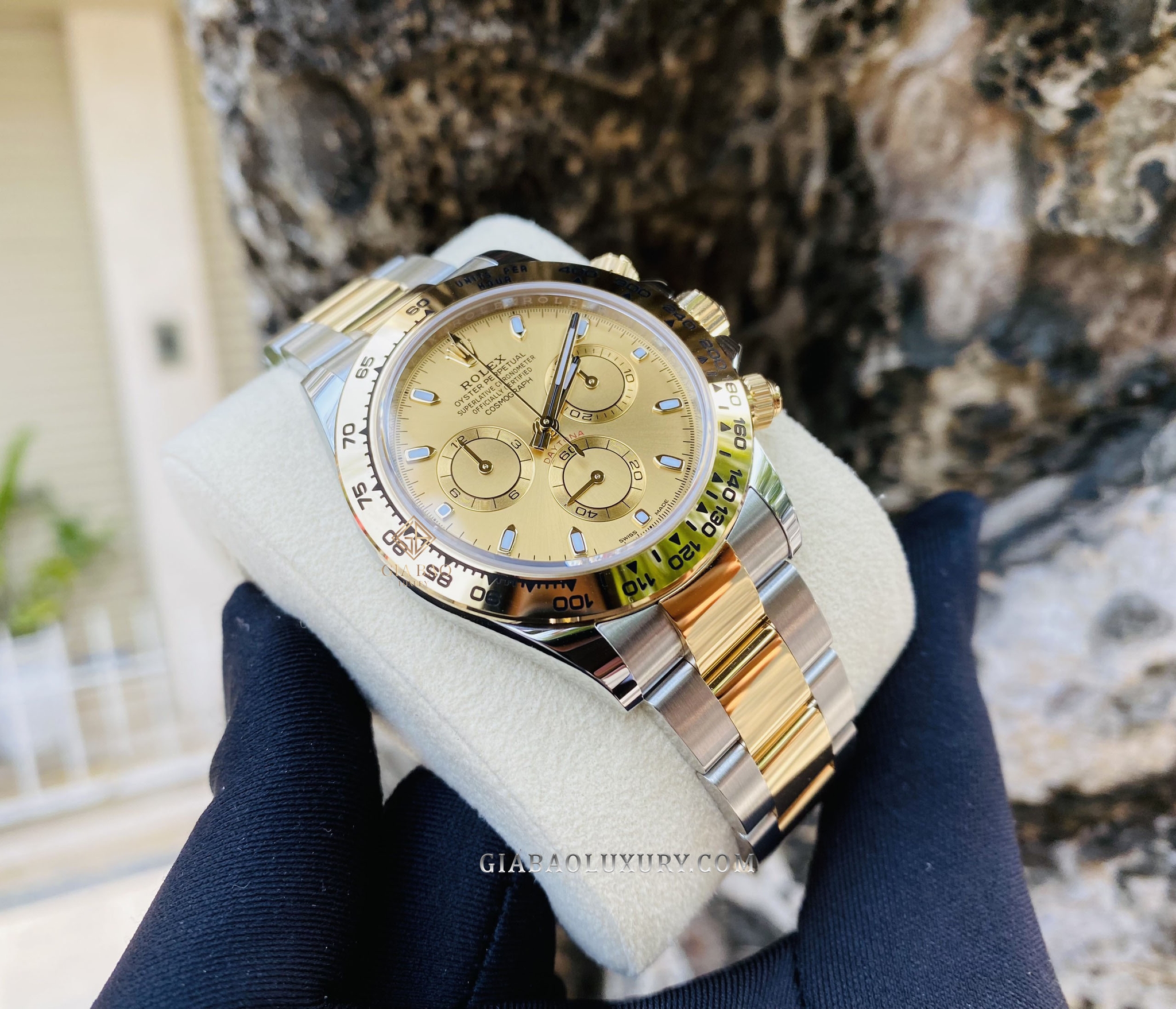 Đồng Hồ Rolex Cosmograph Daytona 116503 Mặt Số Vàng Champagne