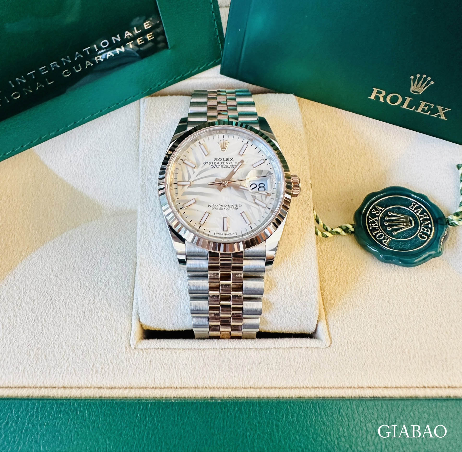 Đồng Hồ Rolex Datejust 36 126231 Mặt Số Cây Lá Nhiệt Đới Bạc Cọc Số Dạ Quang