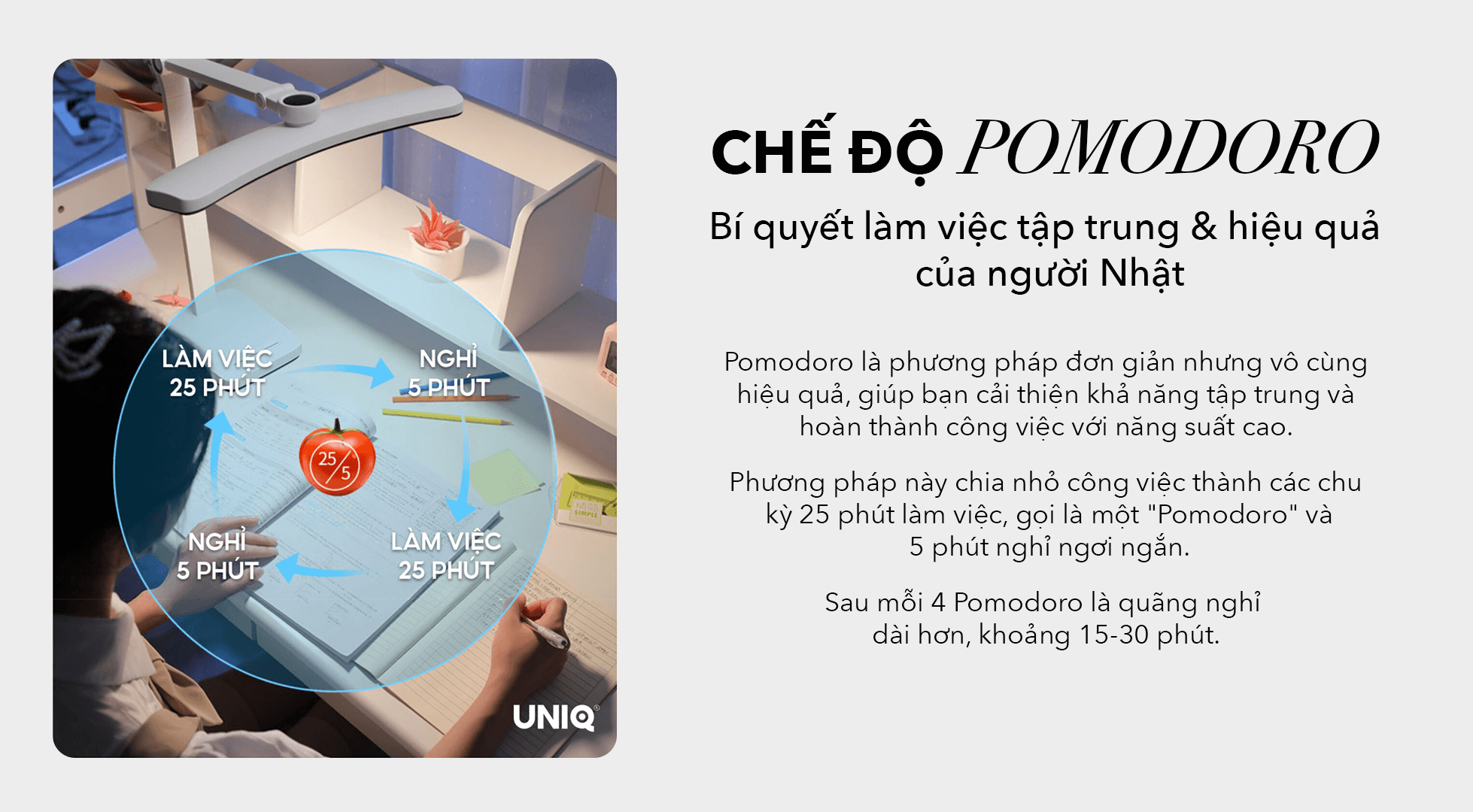 kinh-nghiem-mua-den-hoc-cho-con