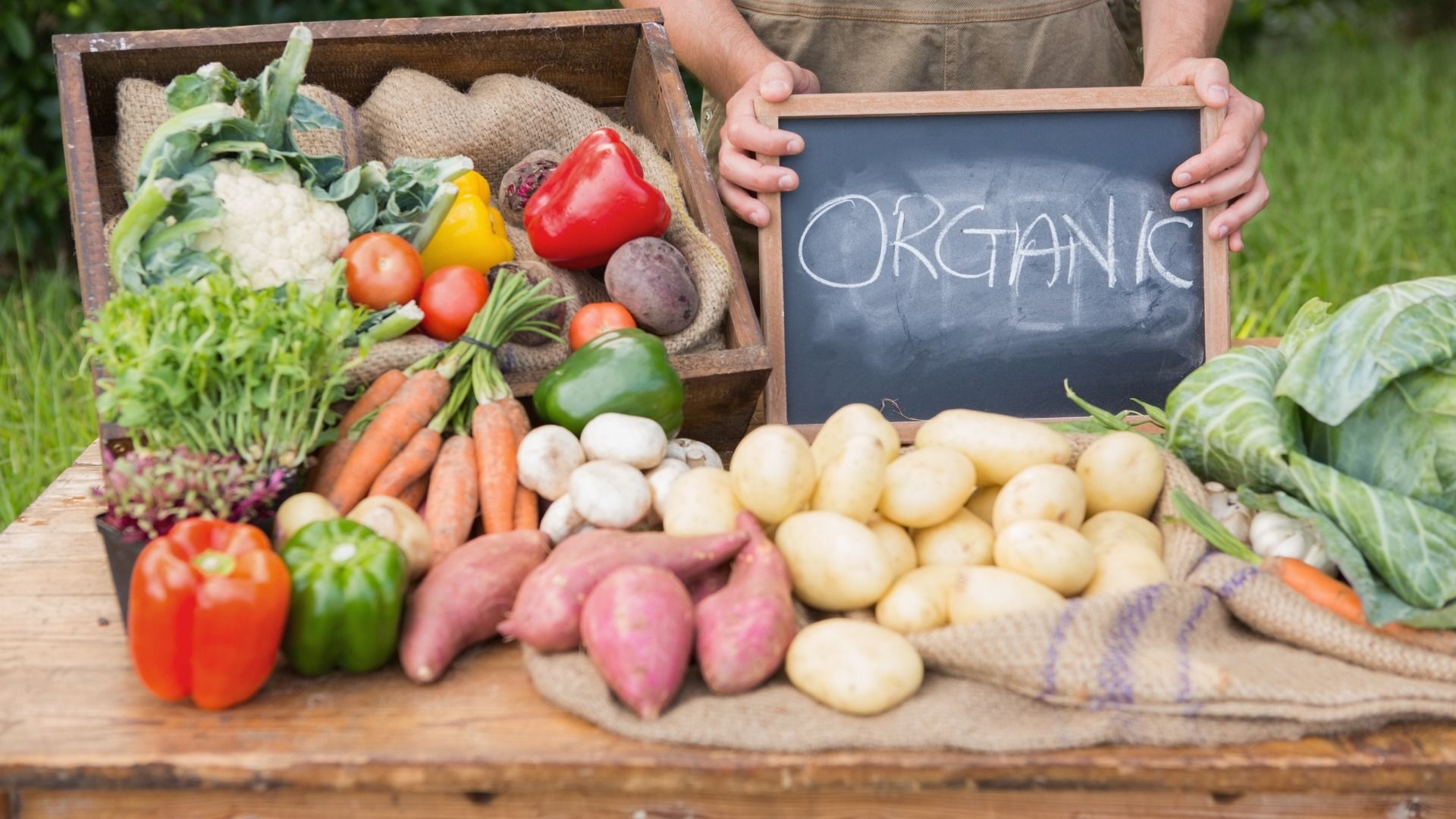 Hạt giống hữu cơ là gì? So sánh hạt giống hữu cơ và hạt giống thông thường