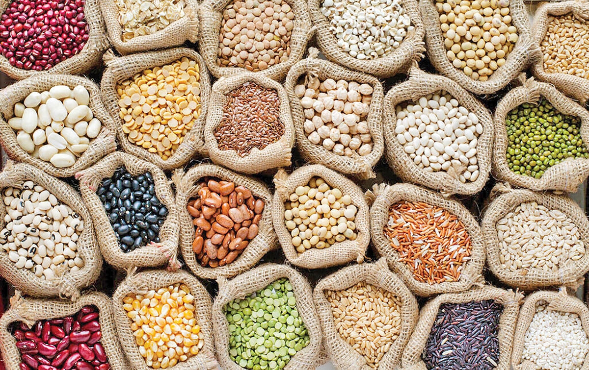 Hạt giống hữu cơ là gì? So sánh hạt giống hữu cơ và hạt giống thông thường