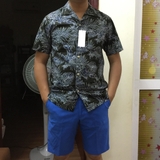 ao-chim-co-nam-uniqlo-nhat-ban