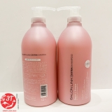 dau-goi-salon-link-extra-1000ml-chai-hong-phuc-hoi-toc-hu-ton