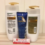 mau-vang-bo-dau-goi-xa-u-duong-uv-pantene-nhat-ban