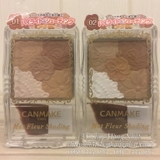 phan-tao-khoi-canmake-mat-fleur-shading