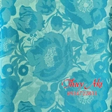 vai-gam-chinh-pham-thuy-aki-0934722831
