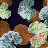 vai-lua-chinh-pham-thuy-aki-0934722831