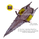 Phối ví nam da bụng cá sấu