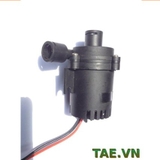 Bơm Nước 12V - 24V DC