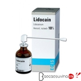 Thuốc xịt chống xuất tinh sớm Lidocain 10%
